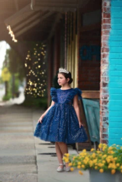 MILLY DRESS SPARKLE NAVY 10 MILLY DRESS SPARKLE NAVY -Fashion Dress-Trish Scully 10 1