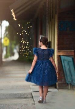 MILLY DRESS SPARKLE NAVY 11 MILLY DRESS SPARKLE NAVY -Fashion Dress-Trish Scully 10 3