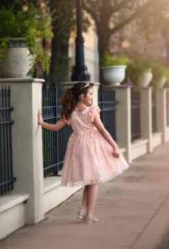 NATALIA DRESS PINK -Fashion Dress-Trish Scully 104 3