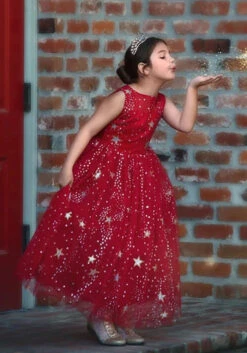 ANTOINETTE GOWN CRIMSON 10 ANTOINETTE GOWN CRIMSON -Fashion Dress-Trish Scully 10 520081a7 20c6 4f3d ae2a 82c860b571e5