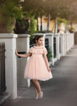 GIOVANNA DRESS PINK 8 GIOVANNA DRESS PINK -Fashion Dress-Trish Scully 116 1