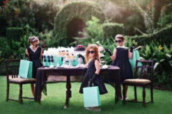 MISS RODEO PARTY PACK-12 PC. SET -Fashion Dress-Trish Scully 133 2