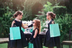 MISS RODEO PARTY PACK-12 PC. SET -Fashion Dress-Trish Scully 133 3