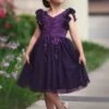BIANCA DRESS EGGPLANT 1 BIANCA DRESS EGGPLANT -Fashion Dress-Trish Scully 142 d69765f8 88cb 40c6 83f1 6c9efde0d448