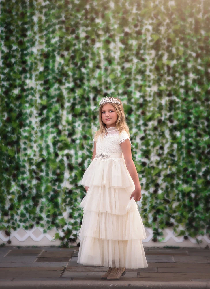 ARIANA GOWN SPARKLE IVORY 6 ARIANA GOWN SPARKLE IVORY - Image 4