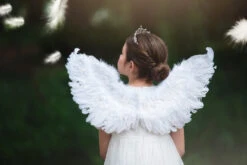 FEATHER WINGS -Fashion Dress-Trish Scully 154 1