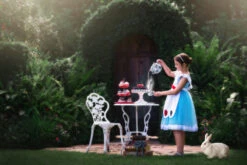 MISS WHIMSY -Fashion Dress-Trish Scully 171 3