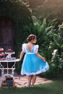 MISS WHIMSY -Fashion Dress-Trish Scully 171 5