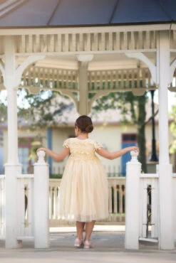 KATRINA DRESS BUTTERSCOTCH 8 KATRINA DRESS BUTTERSCOTCH -Fashion Dress-Trish Scully 172 3