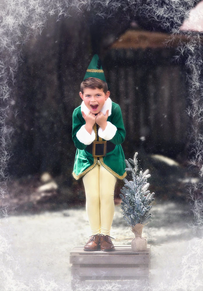 THE ELF 4 THE ELF - Image 2