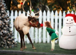 THE ELF 9 THE ELF -Fashion Dress-Trish Scully 186 2