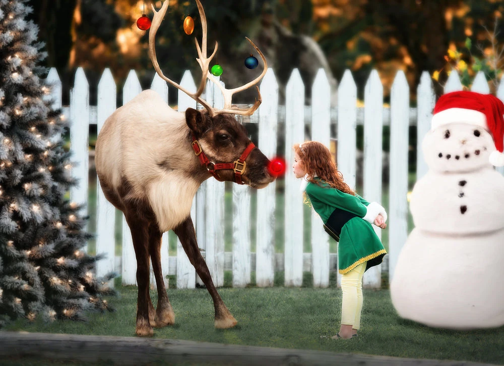 THE ELF 5 THE ELF - Image 3