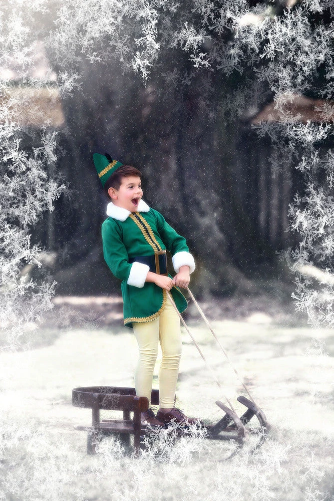 THE ELF 6 THE ELF - Image 4