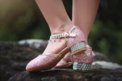 REGAL PRINCESS SHOE -Fashion Dress-Trish Scully 189 2