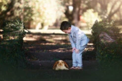 ASHFORD SEERSUCKER 3 PC. SUIT 13 ASHFORD SEERSUCKER 3 PC. SUIT -Fashion Dress-Trish Scully 2 2 ae6f2966 1359 4040 8710 9f5c8f10730b