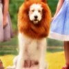 DOG LION MANE 1 DOG LION MANE -Fashion Dress-Trish Scully 263