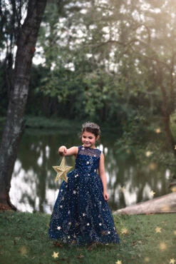 STARGAZER TIARA -Fashion Dress-Trish Scully 268 3