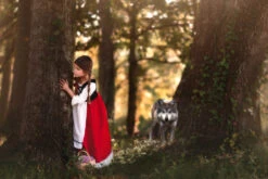 LUXE RED RIDING HOOD DRESS & CAPE SET 9 LUXE RED RIDING HOOD DRESS & CAPE SET -Fashion Dress-Trish Scully 279 3