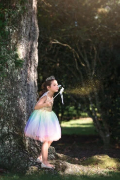 FAIRY DRESS, WINGS & WAND 3PC. SET -Fashion Dress-Trish Scully 280 5