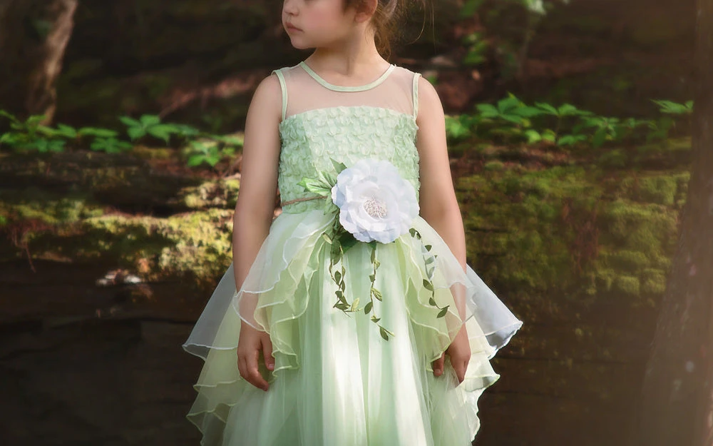 FROG PRINCESS GOWN & BELT SET 4 FROG PRINCESS GOWN & BELT SET - Image 2