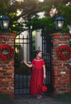 LA ROSA ROJA SOFT CLUTCH -Fashion Dress-Trish Scully 302 3