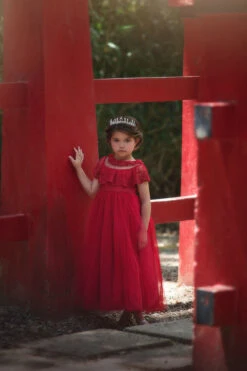 GIOVANNA GOWN CRIMSON 9 GIOVANNA GOWN CRIMSON -Fashion Dress-Trish Scully 331 1