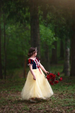 FLASH SALE PRINCESS KATE DRESS 15 FLASH SALE PRINCESS KATE DRESS -Fashion Dress-Trish Scully 348 6