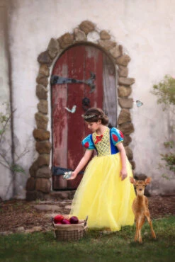 GENEVIEVE COSTUME 12 GENEVIEVE COSTUME -Fashion Dress-Trish Scully 349 4