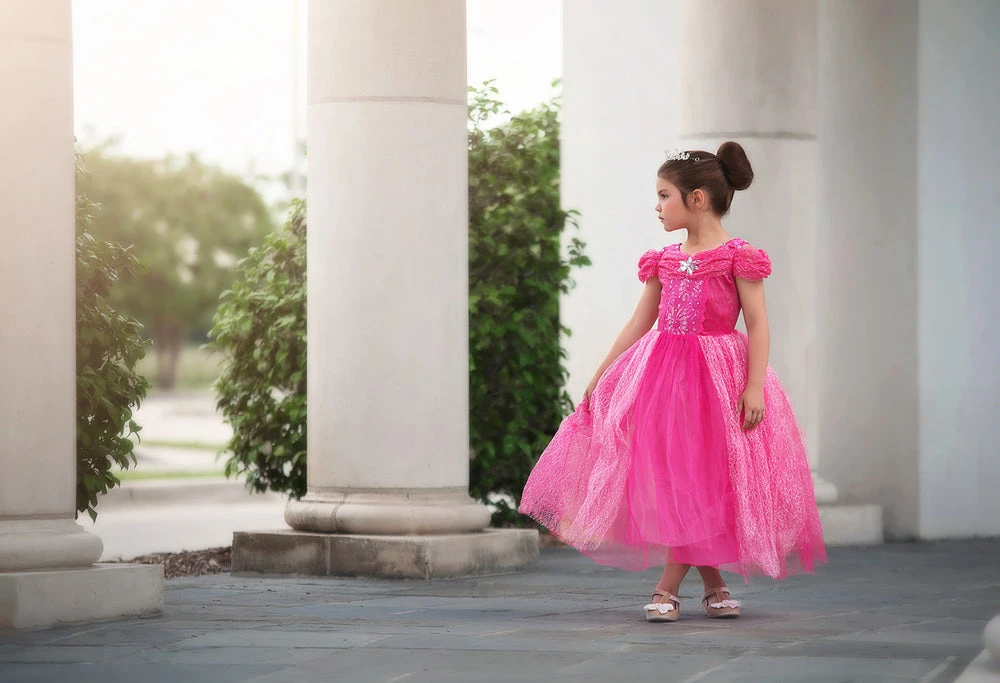 FLASH SALE PINK PRINCESS DRESS COSTUME 4 FLASH SALE PINK PRINCESS DRESS COSTUME - Image 2