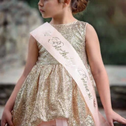 BIRTHDAY PRINCESS 12 BIRTHDAY PRINCESS -Fashion Dress-Trish Scully 3 faf0bc75 a45e 4919 af15 c8104ca4342e