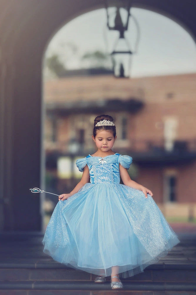 FLASH SALE QUEEN OF THE KINGDOM PRINCESS DRESS COSTUME 3 FLASH SALE QUEEN OF THE KINGDOM PRINCESS DRESS COSTUME