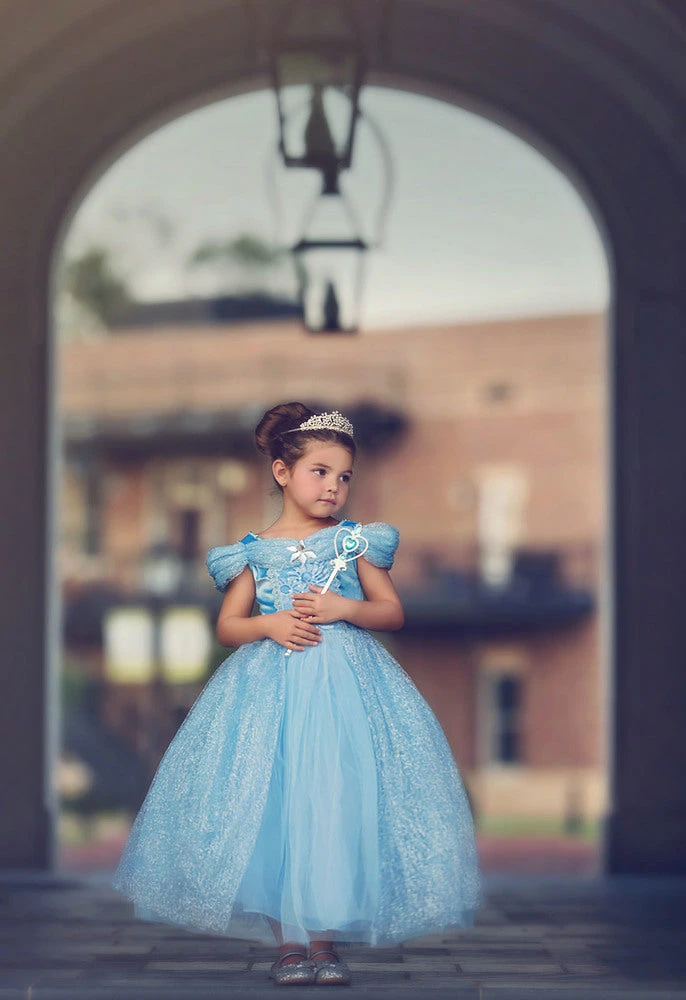 FLASH SALE QUEEN OF THE KINGDOM PRINCESS DRESS COSTUME 4 FLASH SALE QUEEN OF THE KINGDOM PRINCESS DRESS COSTUME - Image 2