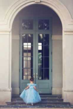 FLASH SALE QUEEN OF THE KINGDOM PRINCESS DRESS COSTUME 14 FLASH SALE QUEEN OF THE KINGDOM PRINCESS DRESS COSTUME -Fashion Dress-Trish Scully 417 4