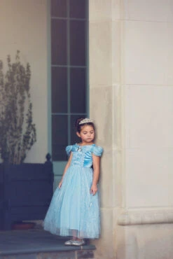 FLASH SALE QUEEN OF THE KINGDOM PRINCESS DRESS COSTUME 15 FLASH SALE QUEEN OF THE KINGDOM PRINCESS DRESS COSTUME -Fashion Dress-Trish Scully 417 5