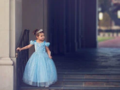 FLASH SALE QUEEN OF THE KINGDOM PRINCESS DRESS COSTUME 16 FLASH SALE QUEEN OF THE KINGDOM PRINCESS DRESS COSTUME -Fashion Dress-Trish Scully 417 6