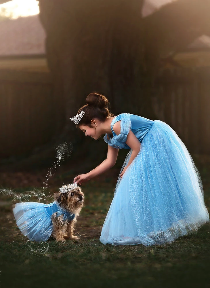 FLASH SALE QUEEN OF THE KINGDOM PRINCESS DRESS COSTUME 10 FLASH SALE QUEEN OF THE KINGDOM PRINCESS DRESS COSTUME - Image 8