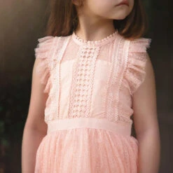 CLARISSA DRESS PEACHY PINK -Fashion Dress-Trish Scully 4 4a3b5b47 492b 42c6 977d 9b979a76e2c8