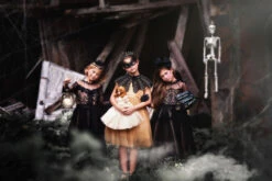 MILLY DRESS SPARKLING CHAMPAGNE -Fashion Dress-Trish Scully 53 5