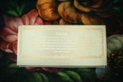 PAIGE DOLL 11 PAIGE DOLL -Fashion Dress-Trish Scully 56 3