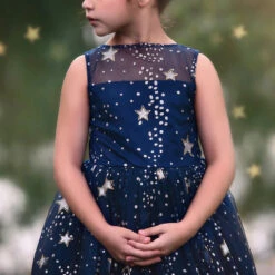 ANTOINETTE GOWN NAVY 13 ANTOINETTE GOWN NAVY -Fashion Dress-Trish Scully 5 d37d718a 0da7 494d 8605 da614e27f37b