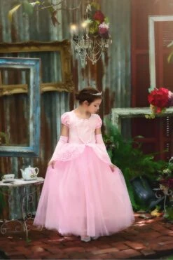 PRINCESS ADELINE GOWN & GLOVES SET PINK