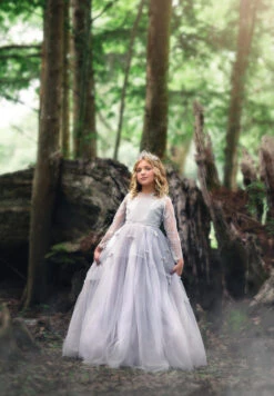 MARIPOSA GOWN SILVER -Fashion Dress-Trish Scully 65 4