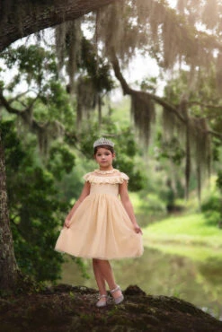 GIOVANNA DRESS BUTTERSCOTCH 9 GIOVANNA DRESS BUTTERSCOTCH -Fashion Dress-Trish Scully 71 1 a37c6a66 173a 4942 a916 37b0e63c6c10