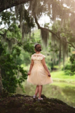 GIOVANNA DRESS BUTTERSCOTCH 8 GIOVANNA DRESS BUTTERSCOTCH -Fashion Dress-Trish Scully 71 3 66b2b897 f3e8 47f7 afd0 1435e90b1784