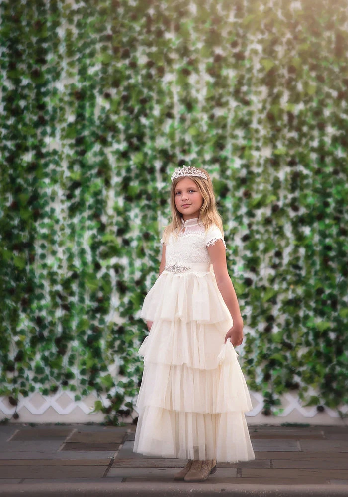 ARIANA GOWN SPARKLE IVORY 4 ARIANA GOWN SPARKLE IVORY - Image 2