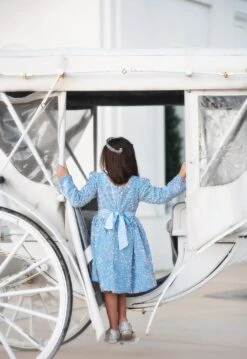 EMMA SEQUIN DRESS BLUE 9 EMMA SEQUIN DRESS BLUE -Fashion Dress-Trish Scully EMMABLUE4