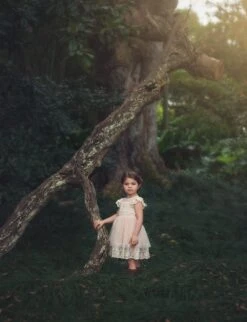 OLIVIA DRESS BUTTERSCOTCH -Fashion Dress-Trish Scully TS15fb