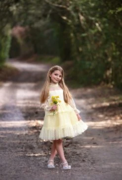 SILVER REGAL PRINCESS SHOE 15 SILVER REGAL PRINCESS SHOE -Fashion Dress-Trish Scully TSC13fbcopy6