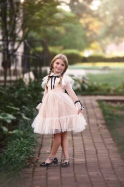 ELLE DRESS IVORY -Fashion Dress-Trish Scully TSC14fb c5d06c8f 72f7 4f38 89fa 2dd677c93f8a