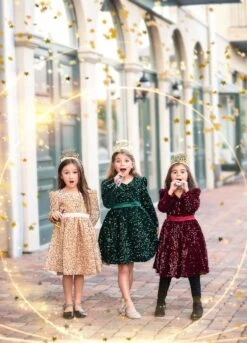 EMMA SEQUIN DRESS WINE -Fashion Dress-Trish Scully TSC16fb 2 26074e09 ef67 4e6e 9687 7669ff021f33